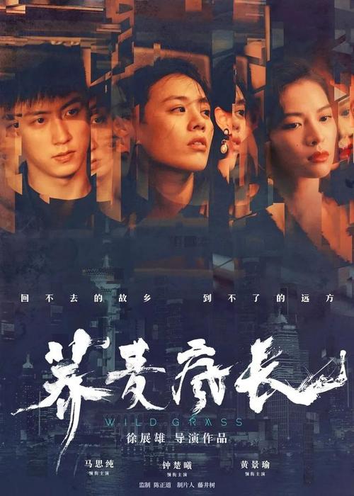 邮政储蓄银行流水账单哪里能买到